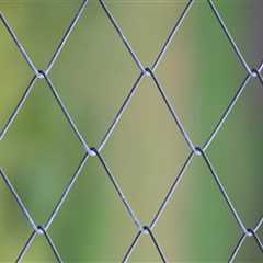 Enhance Your Property with Tree Care & Fencing in Portland