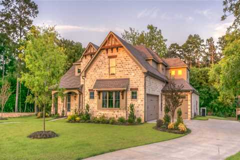 Enhance Vineyard Growth with Expert Tree Pruning in Portsmouth