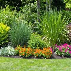 Exploring Common Plants for Ornamental Gardening
