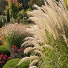 Creating Stunning Focal Points in Your Ornamental Garden
