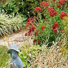 Avoiding Common Pitfalls in Ornamental Gardening