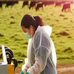 Effective Waste Management Strategies in Animal Husbandry Practices