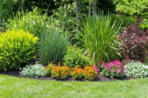 Exploring Common Plants for Ornamental Gardening