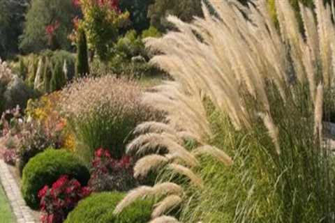 Creating Stunning Focal Points in Your Ornamental Garden