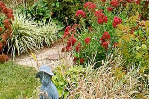 Avoiding Common Pitfalls in Ornamental Gardening