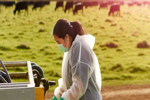 Effective Waste Management Strategies in Animal Husbandry Practices